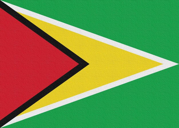 Ilustración de la bandera nacional de Guyana