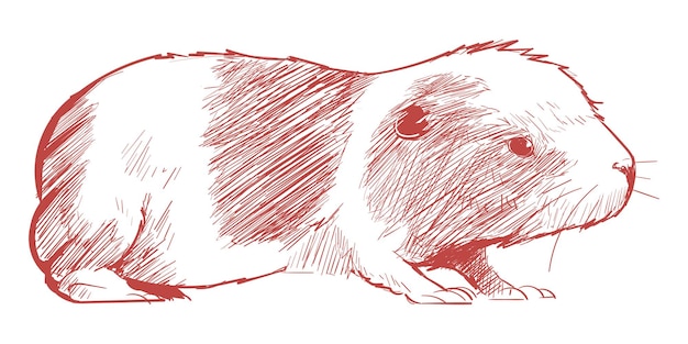 Ilustración de boceto de hámster png con fondo transparente