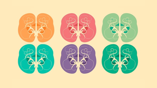 Ilustración de cerebros humanos coloridos Anatomía del cerebro