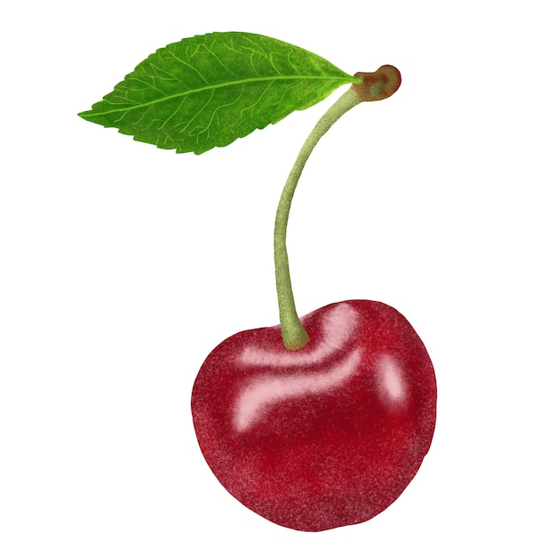 Ilustración de cerezas rojas