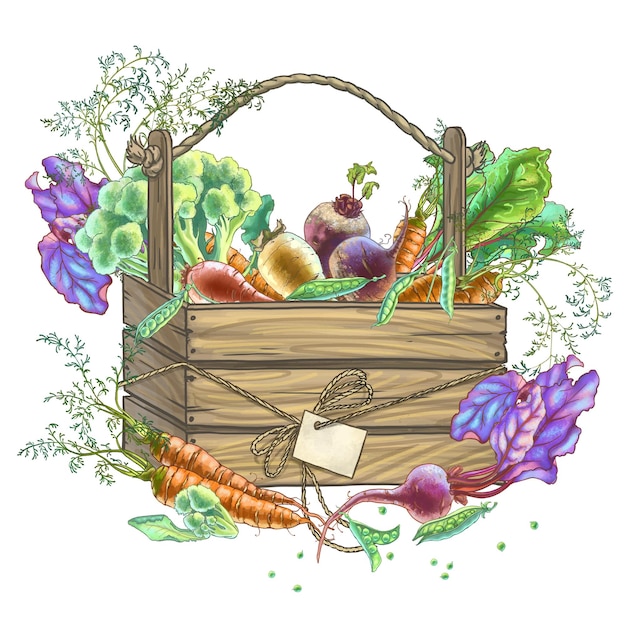 Ilustración a color de verduras en una caja