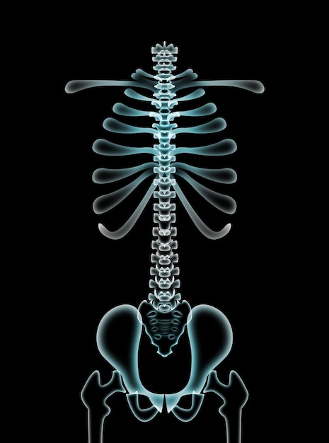 Ilustración de la columna vertebral humana sobre fondo negro