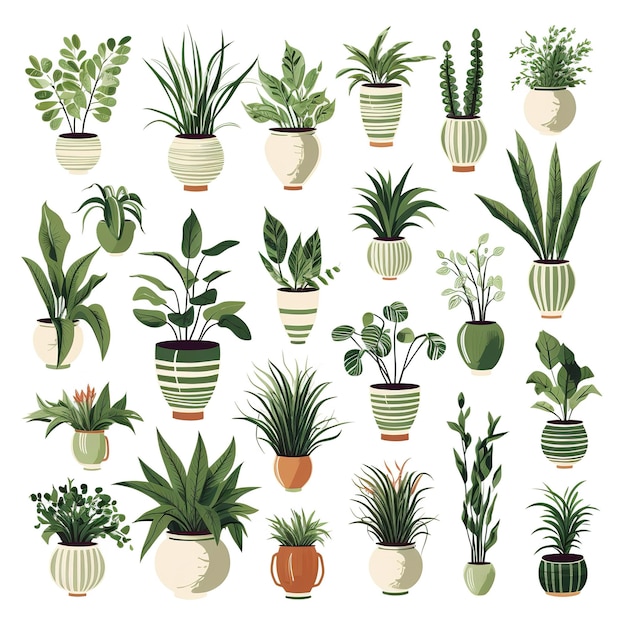 Ilustración del conjunto de colecciones de plantas