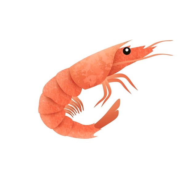 Una ilustración dibujada a mano de un camarón con un ojo amarillo.