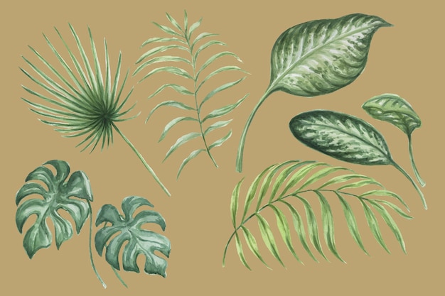 Ilustración de dibujado a mano de acuarela de selva tropical de hojas