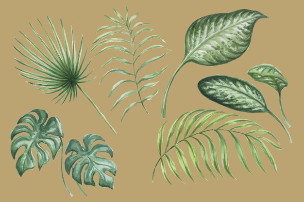 Ilustración de dibujado a mano de acuarela de selva tropical de hojas