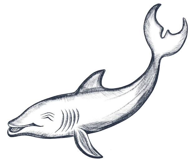Ilustración de dibujos a lápiz de peces Peces monocromáticos aislados sobre fondo blanco Negro y blanco