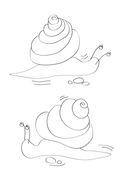 Ilustración de doodle de caracol dibujado a mano.
