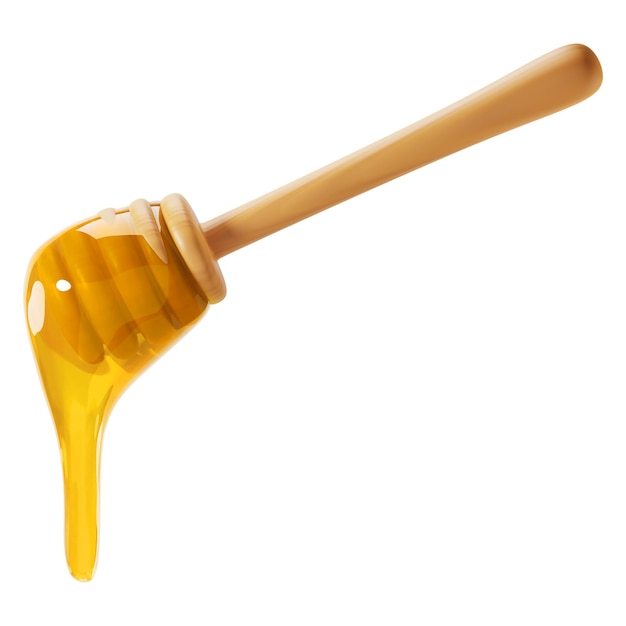 Ilustración de elementos de cuchara de madera de miel en PNG 3D de fondo transparente