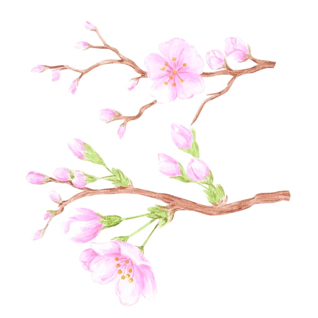 Ilustración de flores aisladas sobre un fondo blanco Se puede usar para libros de recortes de etiquetas de postales y otros productos impresos