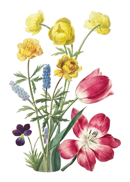 Ilustración de flores antiguas png remezclada por rawpixel a partir de obras de arte de Willem van Leen fondo transparente