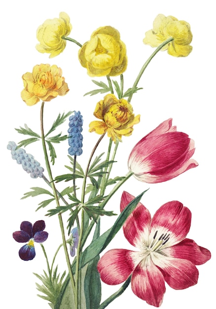 Ilustración de flores vintage png remix de las obras de Willem van Leen