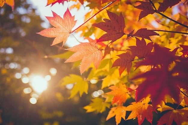 Ilustración de fondo de hojas caídas de otoño IA generativa