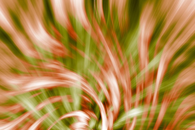 Foto ilustración de fondo de patrón remolino abstracto