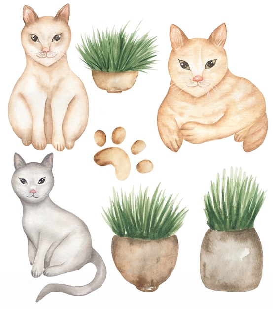 Ilustración de gatos dibujados a mano acuarela, imágenes prediseñadas de animales domésticos, lindo sentado, arte de clip de gato acostado, pata de gato, plantas caseras