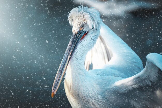 Ilustración generada por IA de un gran pájaro blanco con un pico alargado parado en un estanque