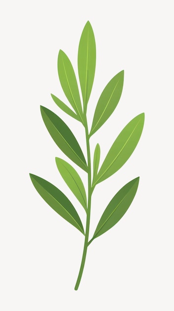 Ilustración de la hoja de romero verde vector de planta simple