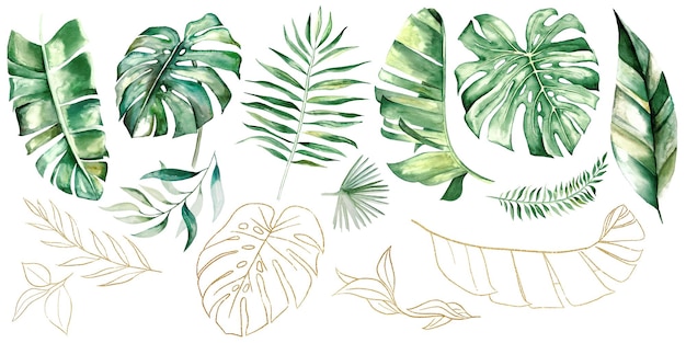 Ilustración de hojas de plátano y monstera de palma tropical de acuarela verde y dorada Elemento elegante para tarjetas de felicitación de diseño de bodas y elaboración