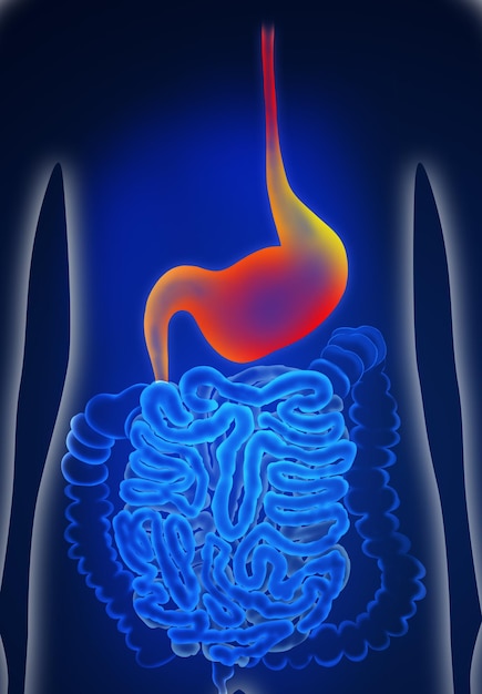 Foto ilustración del hombre que sufre de enfermedad estomacal gastroenterología