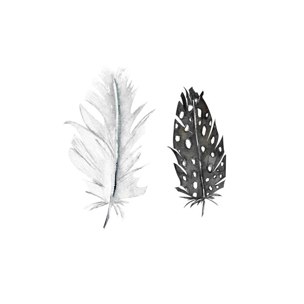 Ilustración de imágenes prediseñadas de plumas de acuarela linda de Pascua para tarjetas de decoración