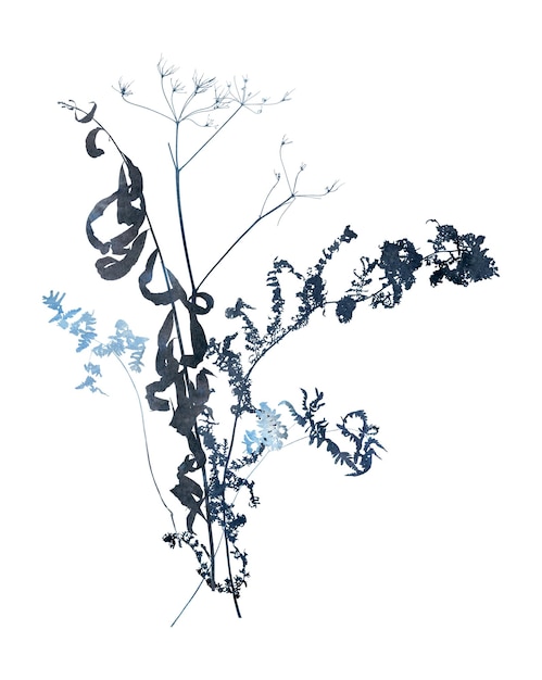 Foto ilustración de invierno de acuarela con ramo floral congelado seco
