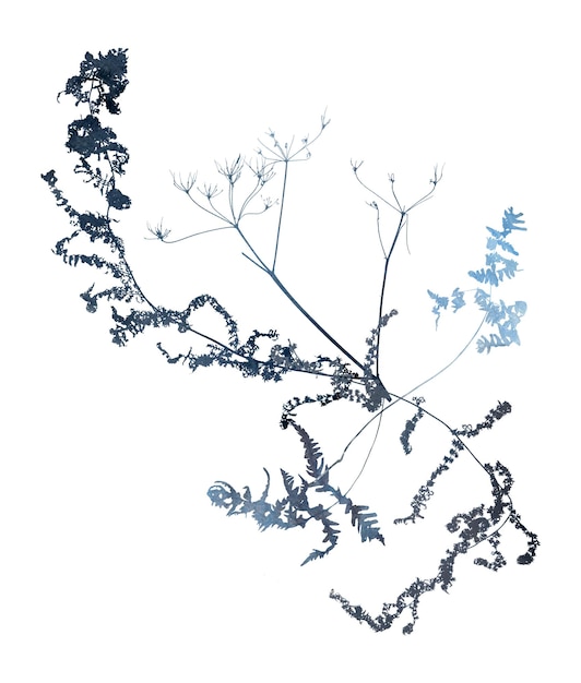 Ilustración de invierno de acuarela con ramo floral congelado seco