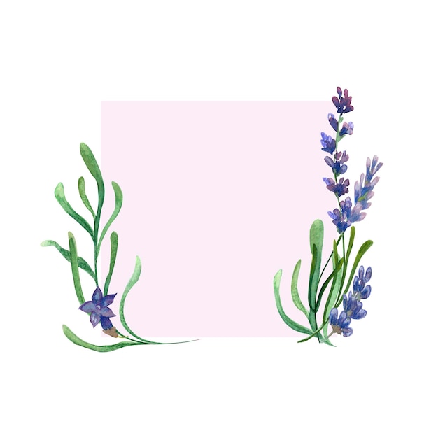 Ilustración de lavanda con acuarelas y crayones.