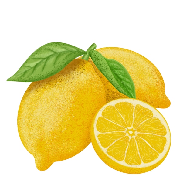 Ilustración de limón pintura en color