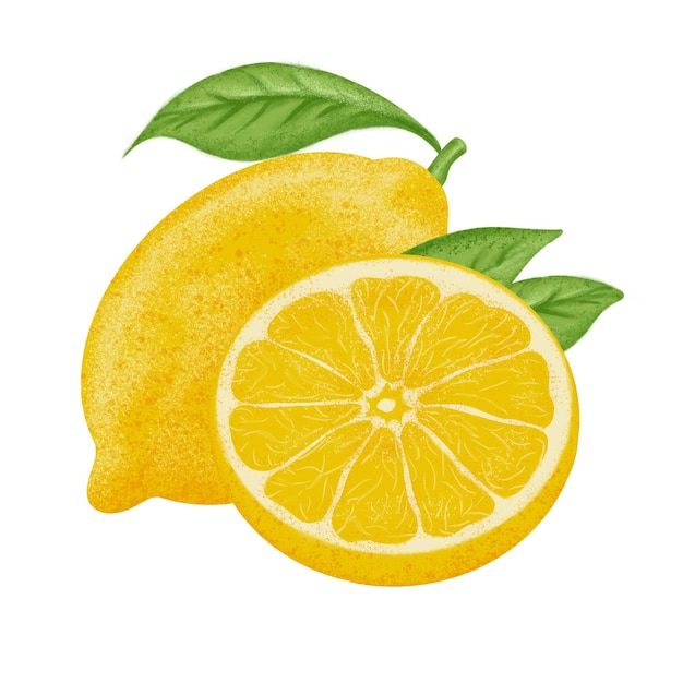 Ilustración de limón pintura en color