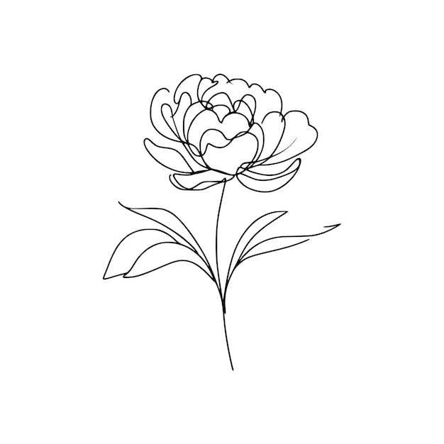 Ilustración de la línea de la peonía Ilustración del arte de la flor de la peónía