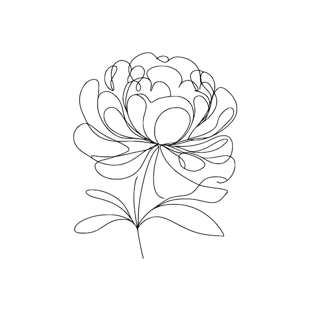 Ilustración de la línea de la peonía Ilustración del arte de la flor de la peónía