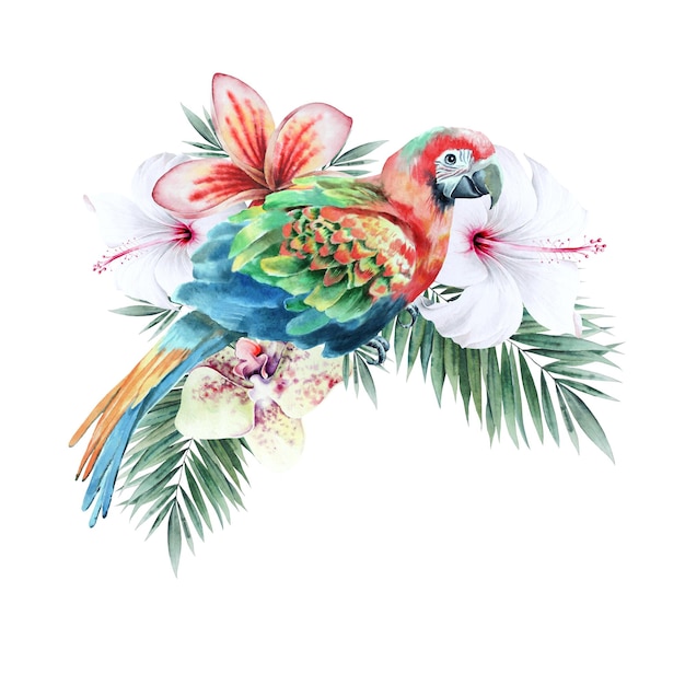 Ilustración con loro tropical y flores. Hibisco. Palma. Orquídea. Ilustración de acuarela. Dibujado a mano.