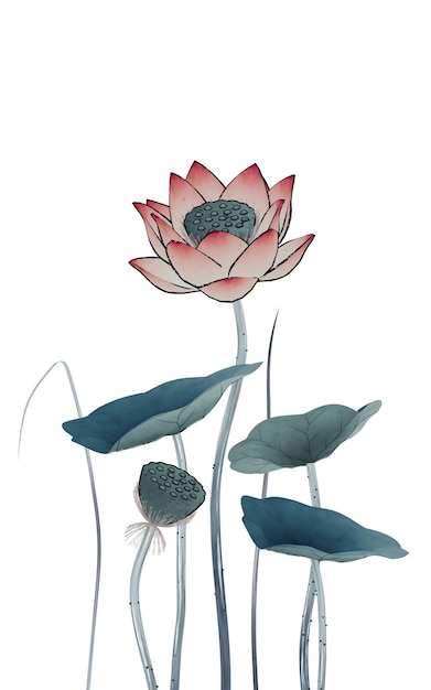 Ilustración de loto de estilo pintura retro china Dibujo digital