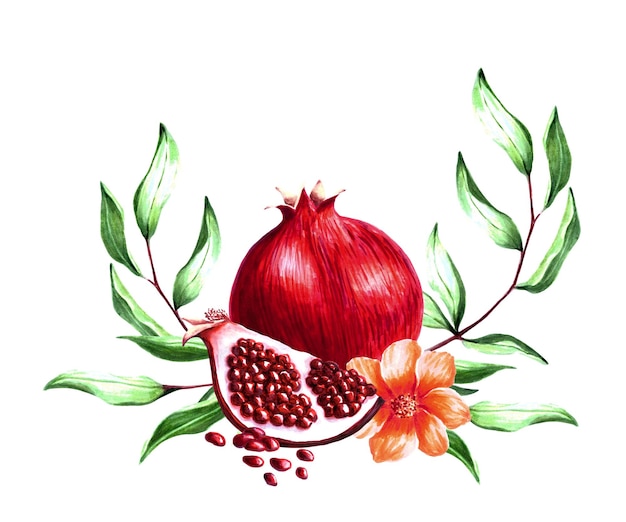 Ilustración de marcador dibujado a mano de granadas con semillas de hojas y flor
