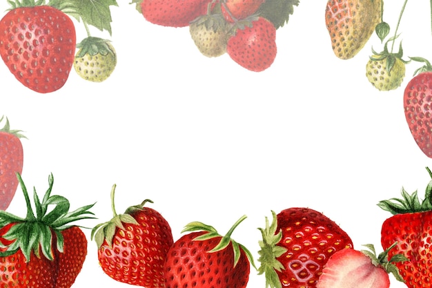 Ilustración de marco de fresas naturales dibujadas a mano