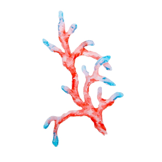 Ilustración marina de acuarela de rama de coral roja y azul con colores vibrantes perfecta para temas oceánicos