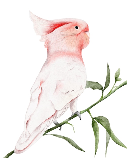 Ilustración de un pájaro exótico