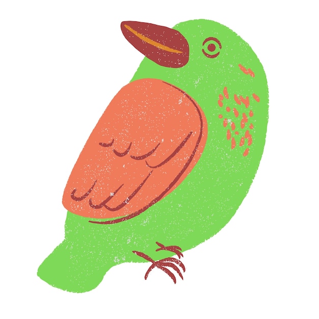 Ilustración del pájaro rey del paraíso diseño de arte vectorial