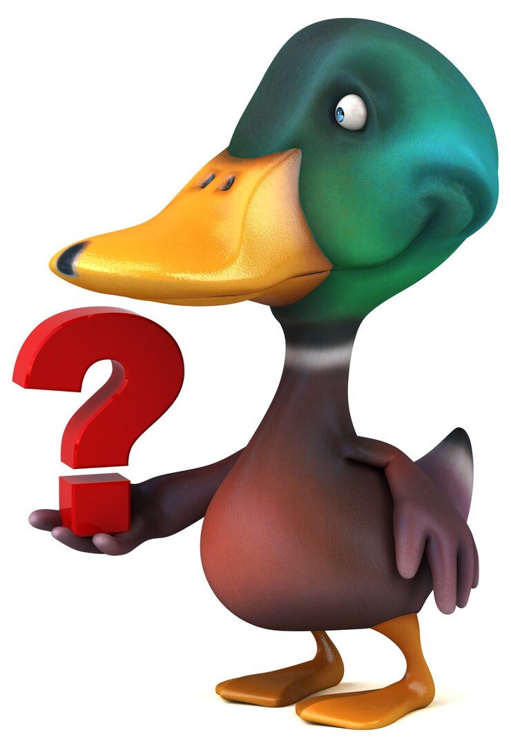 Foto ilustración de pato
