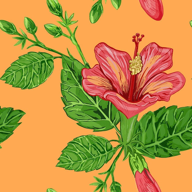 Foto ilustración de un patrón sin fisuras de plantas de hibisco flores y hojas de una planta sobre un fondo