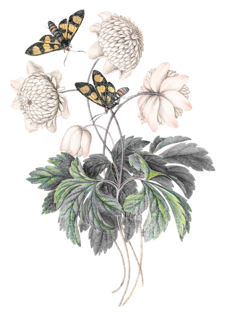 Ilustración de pegatina png de flor blanca en un fondo transparente