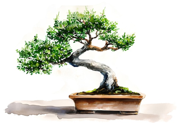 Una ilustración con un pequeño árbol bonsai que representa la cultura japonesa y china de nuevo