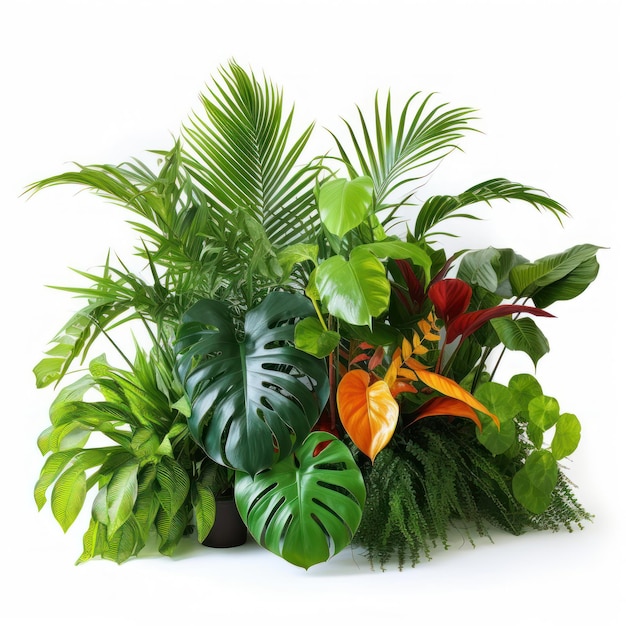 Ilustración de plantas tropicales con telón de fondo colorido