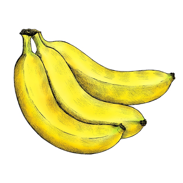 Ilustración png de plátano con fondo transparente