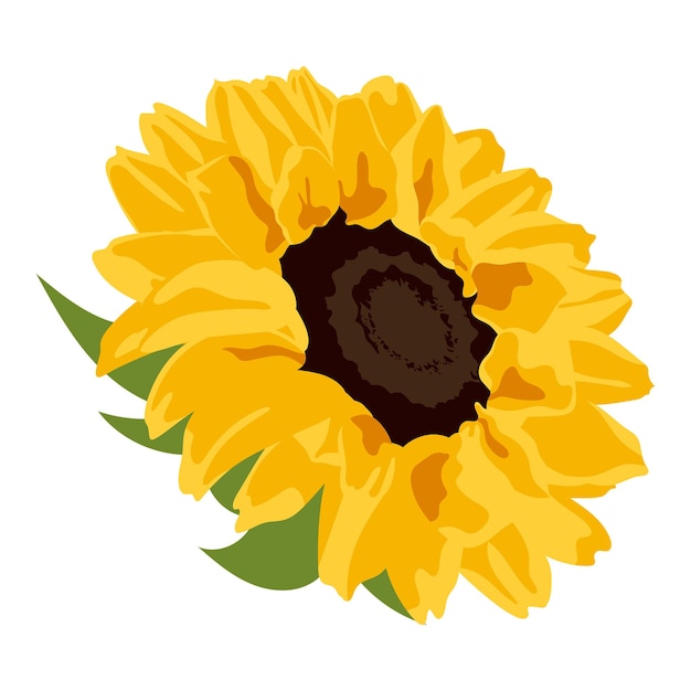 Ilustración de primavera de girasol en fondo transparente con pegatina png de flor amarilla