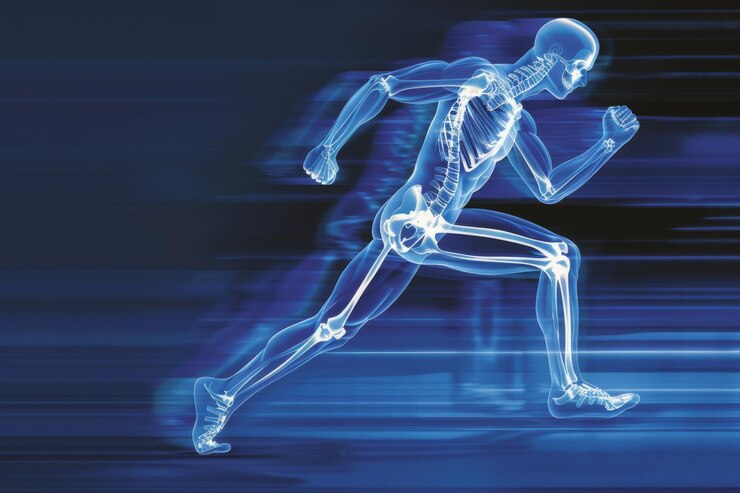 Ilustración que muestra la anatomía de un cuerpo humano y el esqueleto en movimiento destacando huesos y músculos durante la carrera