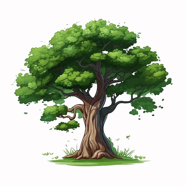 Ilustración realista de un árbol verde con fondo blanco