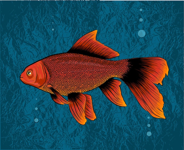 Ilustración de Red Drum Redfish con detalles refinados y trazo optimizado que permite que la imagen se use en tamaños pequeños