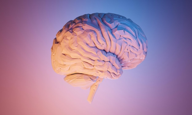 Ilustración de renderizado 3D del cerebro humano, salud de las células neuronales, ciencia e investigación