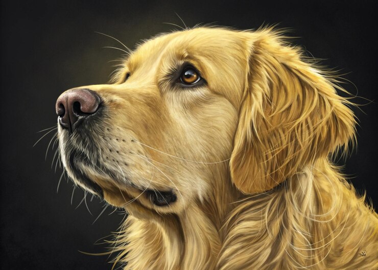 Ilustración de retrato de golden retriever con fondo negro